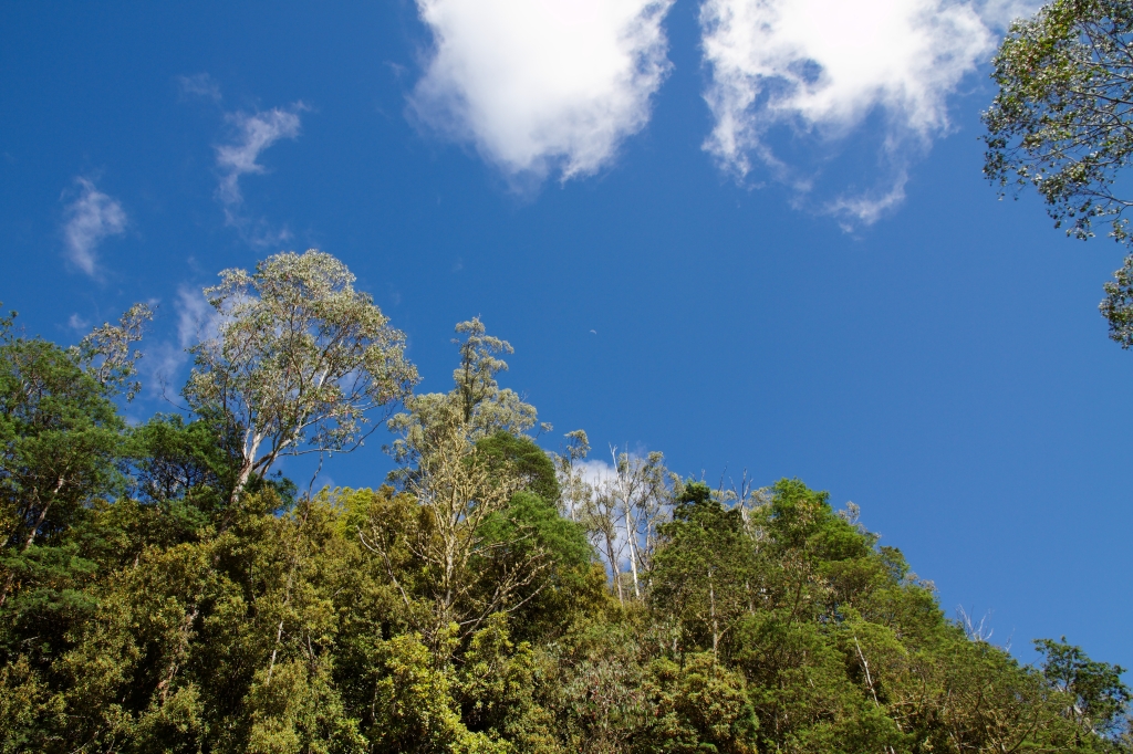 01 - Devonport (4).jpg